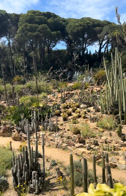 BLANES + Marimurtra Garden (+ Optional: Wine Tasting)