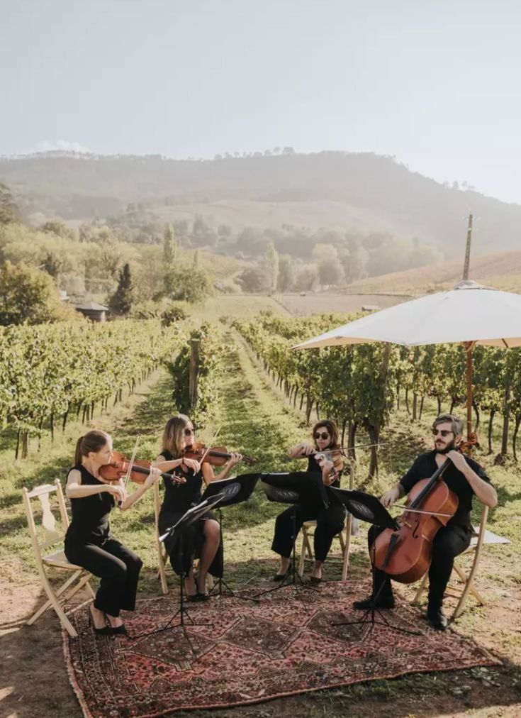 Corporate Event: Vineyard Lunch