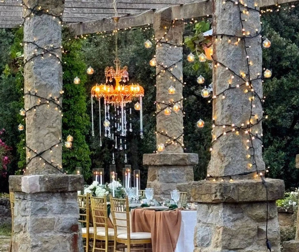 Stunning Garden Dinner under the Lights