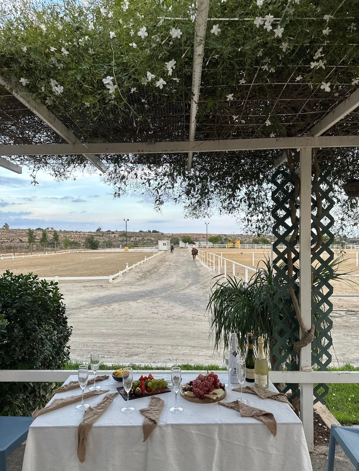 DÌA Cata de Vinos (2 Bodegas) + Tapas