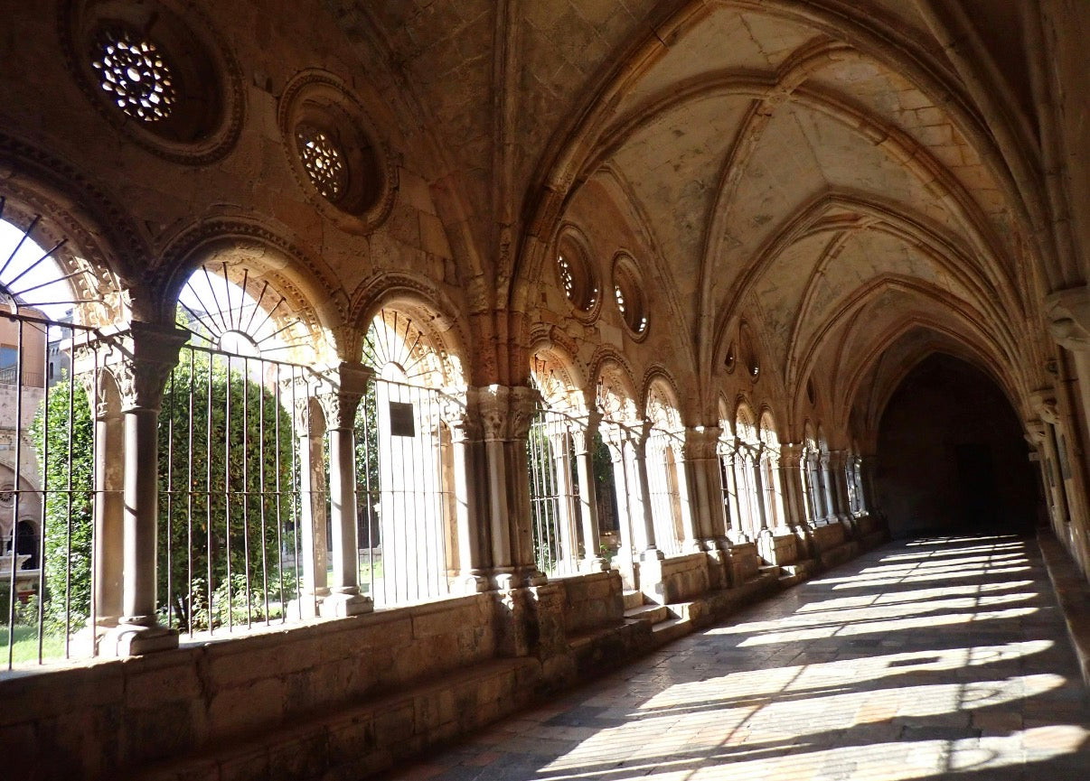 Desde Ciudad del Cabo: tour privado de vinos de lujo con dos catas