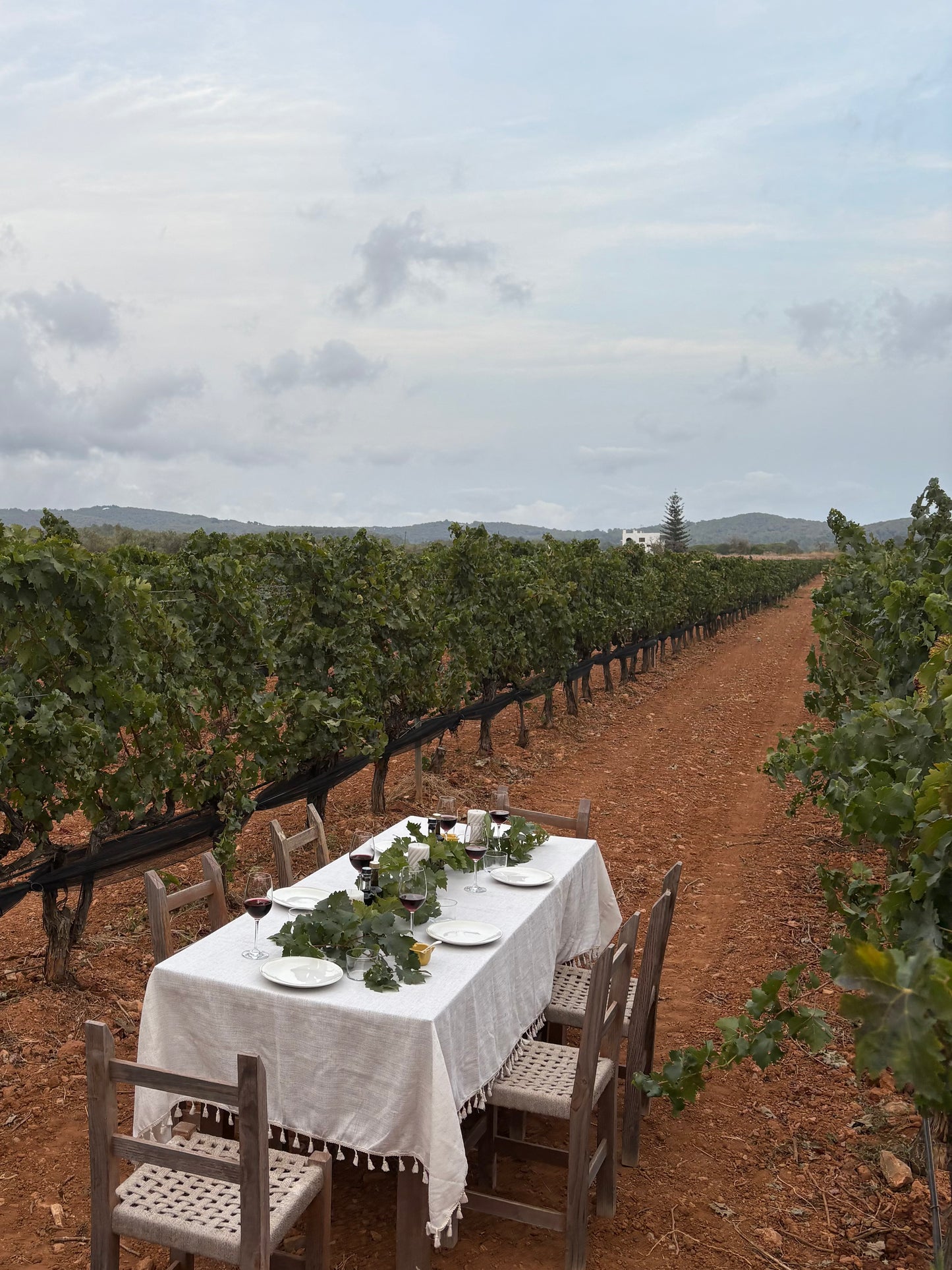 Ibiza: Paseo privado a caballo por la playa con cava