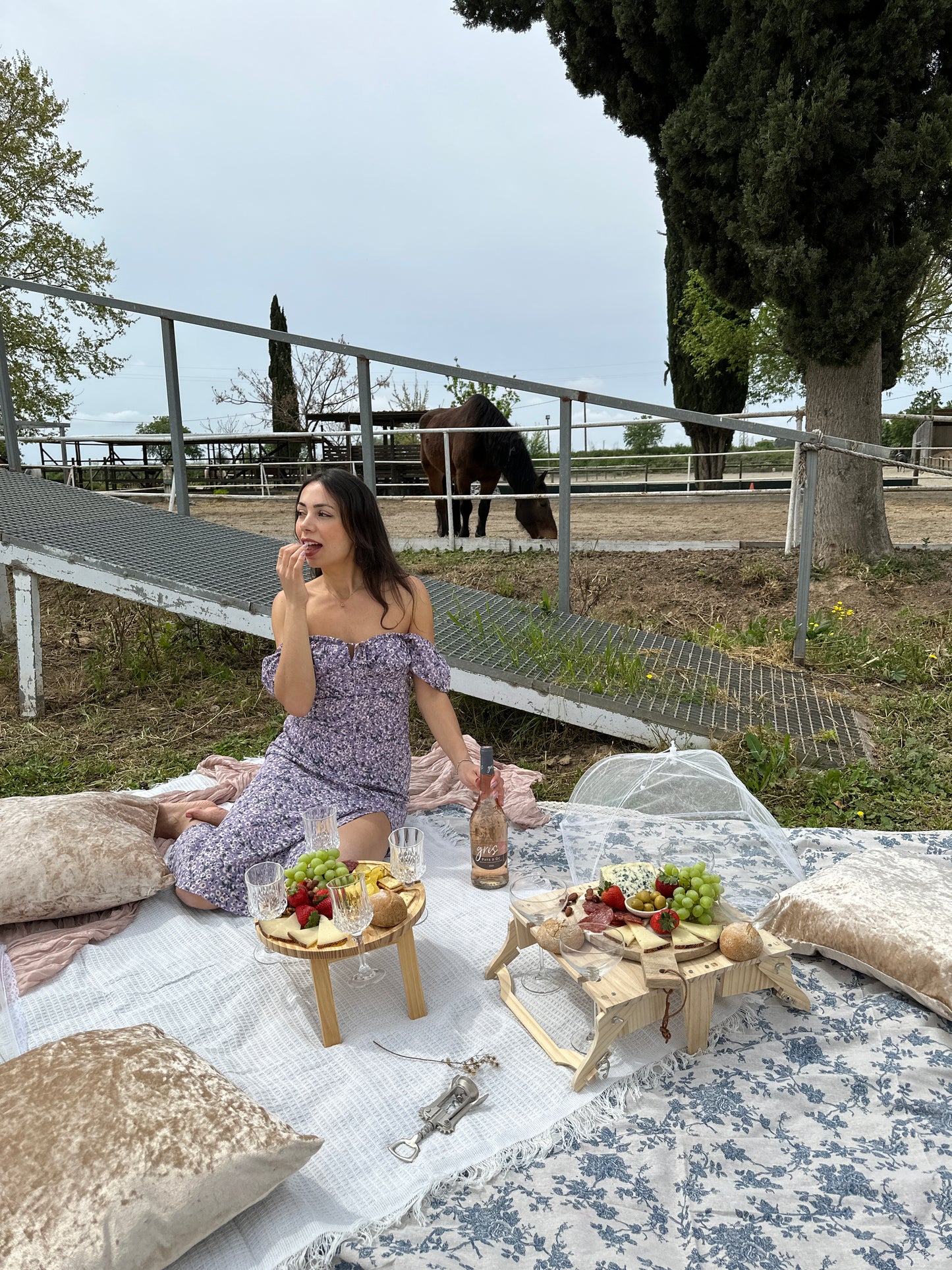 Horse Back Riding (+ Wine Tasting + Tapas / Picnic)