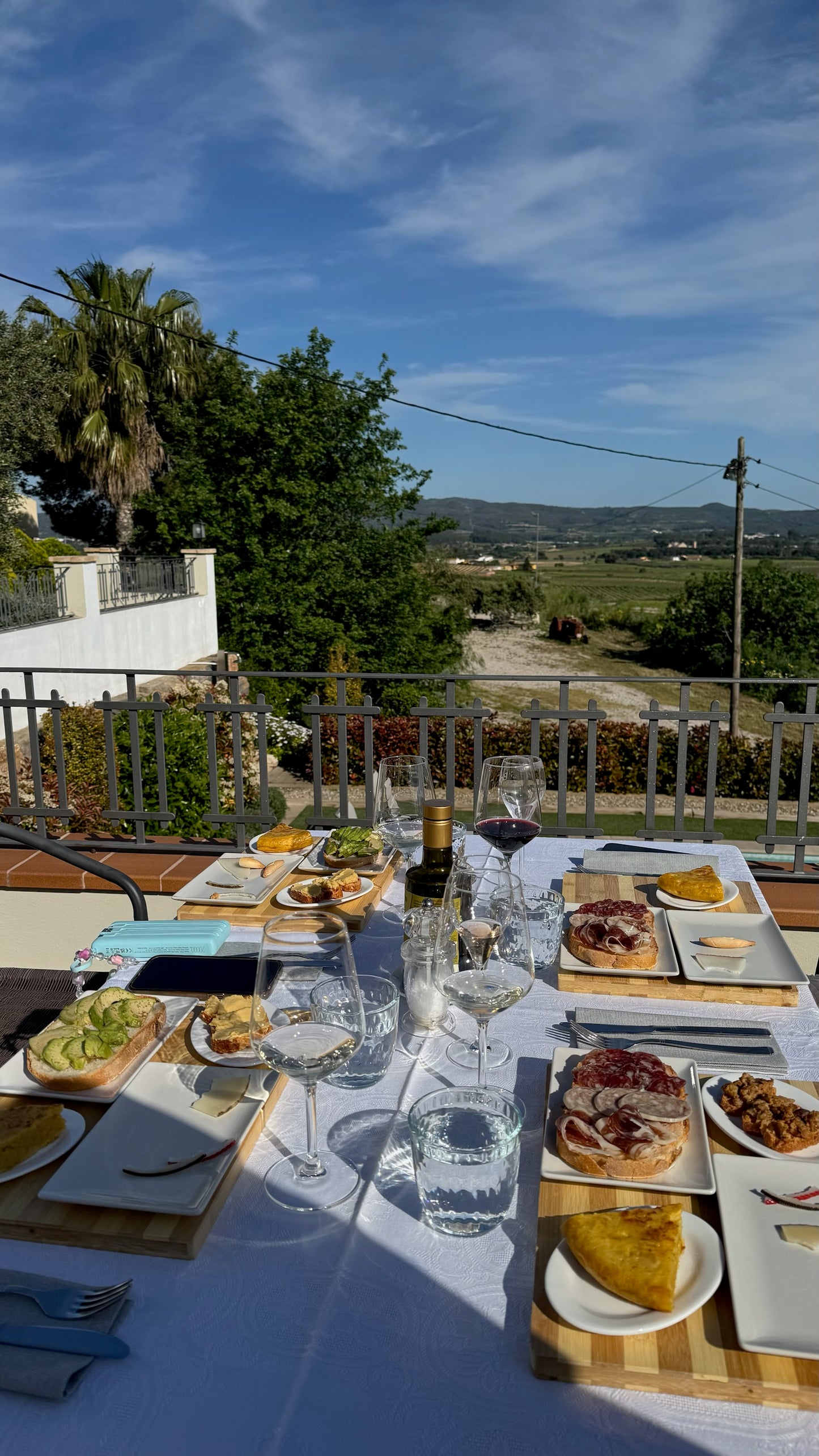 Group Experience: Luxurious Organic Wine Tour with Tapas Brunch + Transport