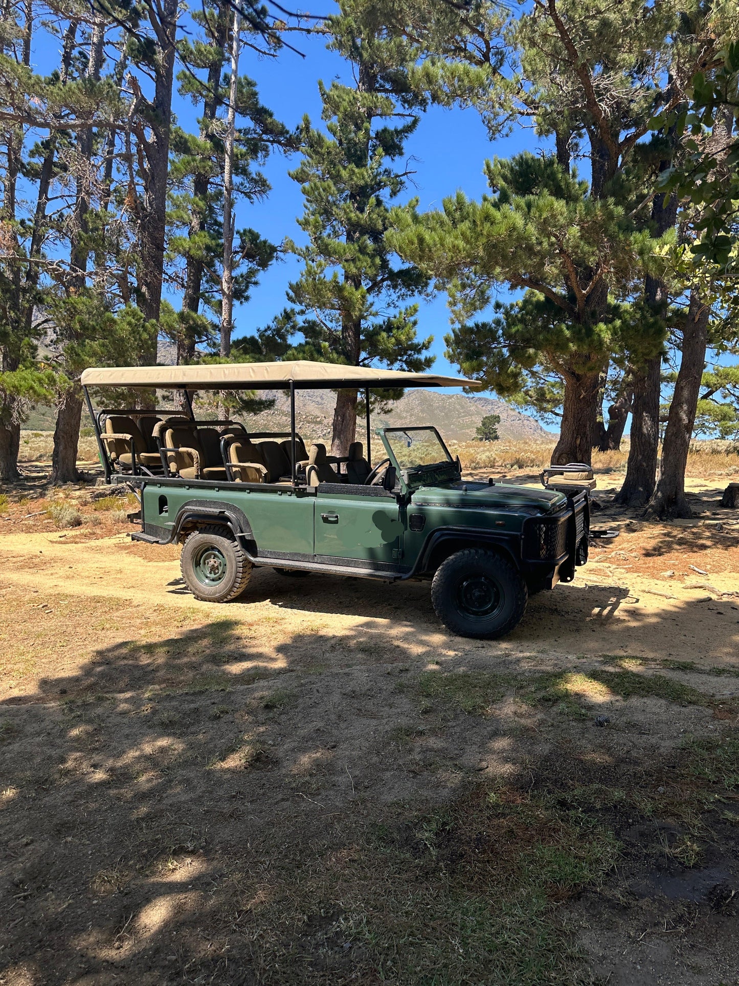 Cape Town: Private Wild Life Safari + Wine Pairing Lunch Menu + Hotel Pick-Up