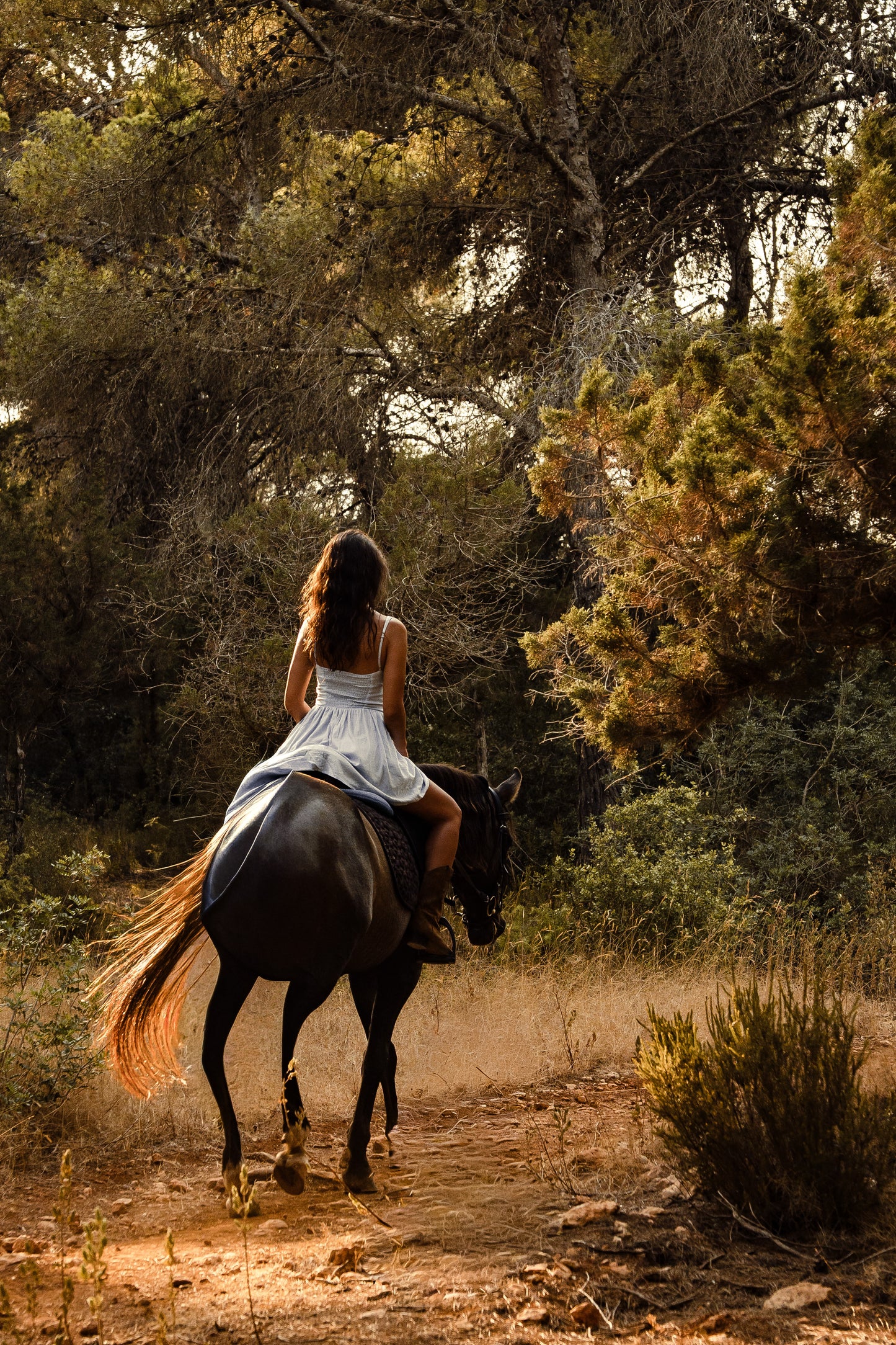 Ibiza: Private Horseback Ride + Picnic + Transport