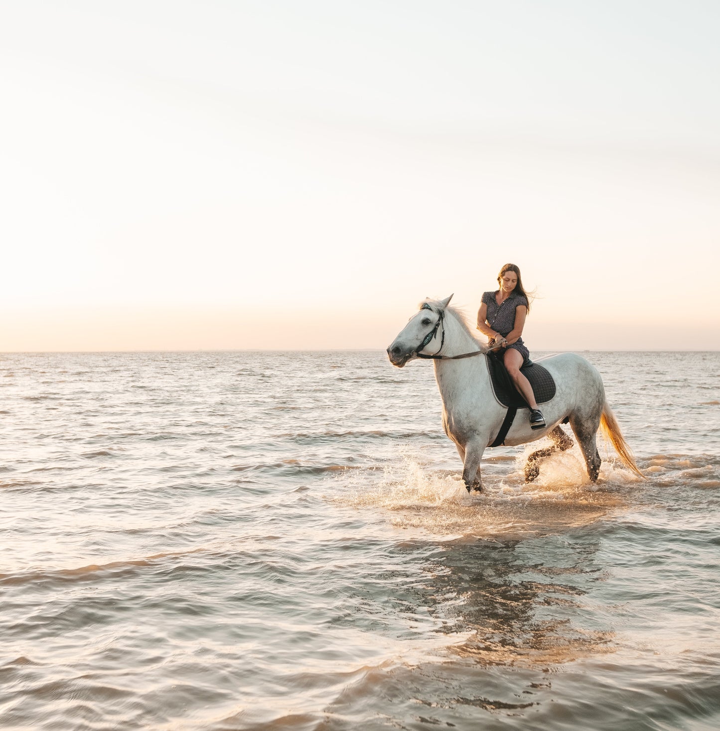 Ibiza: Private 3 h Private Horseback Ride on the Beach + Cava + Transport