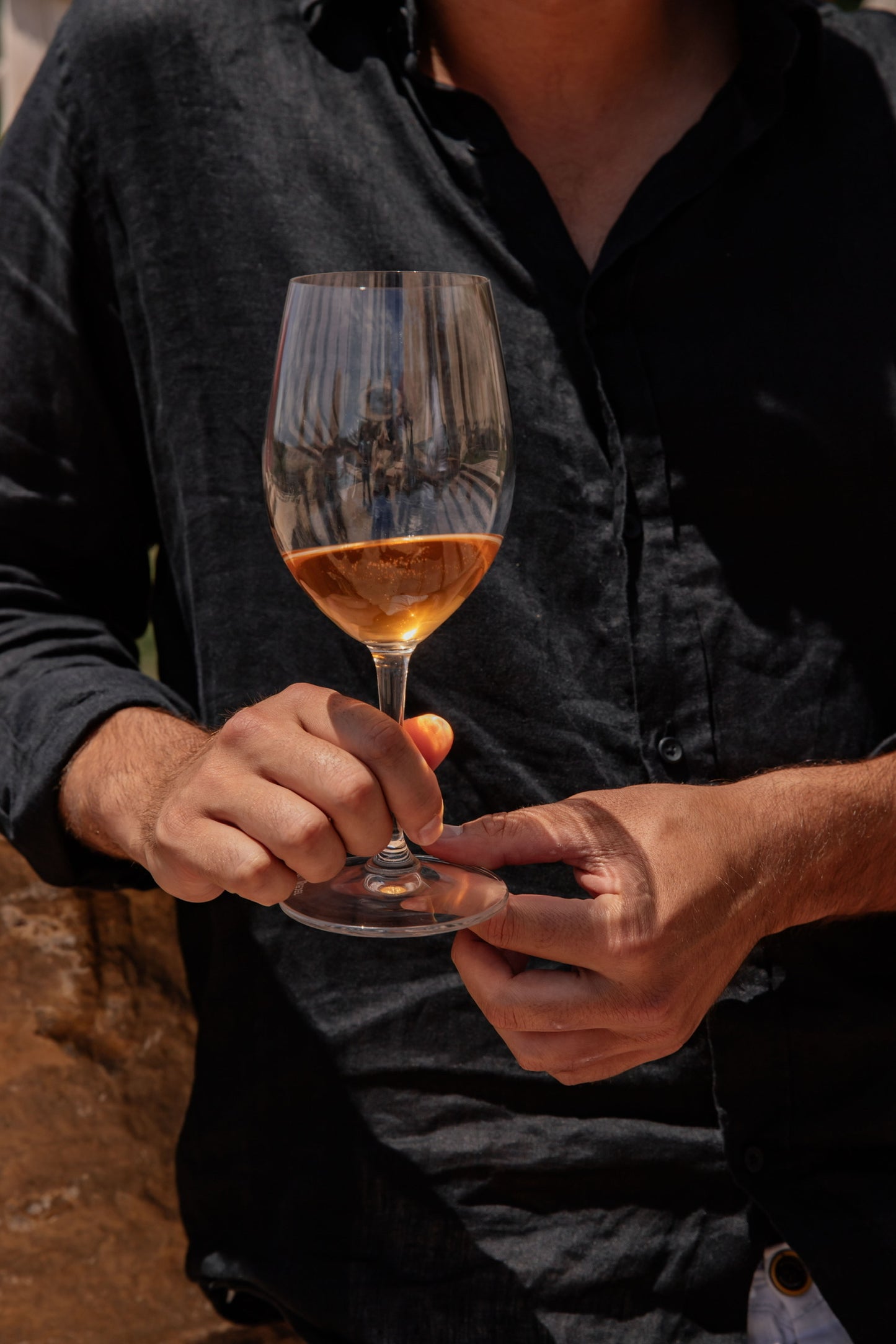 Ibiza: Cata de vinos en viñedos con vistas al mar