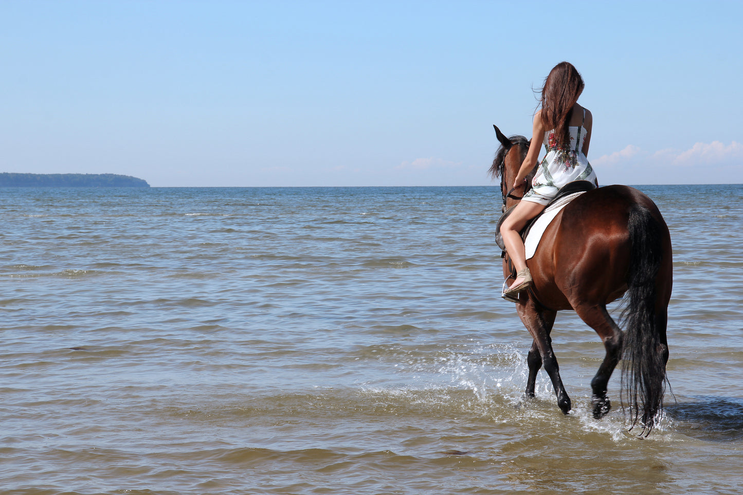 Swimming with horse