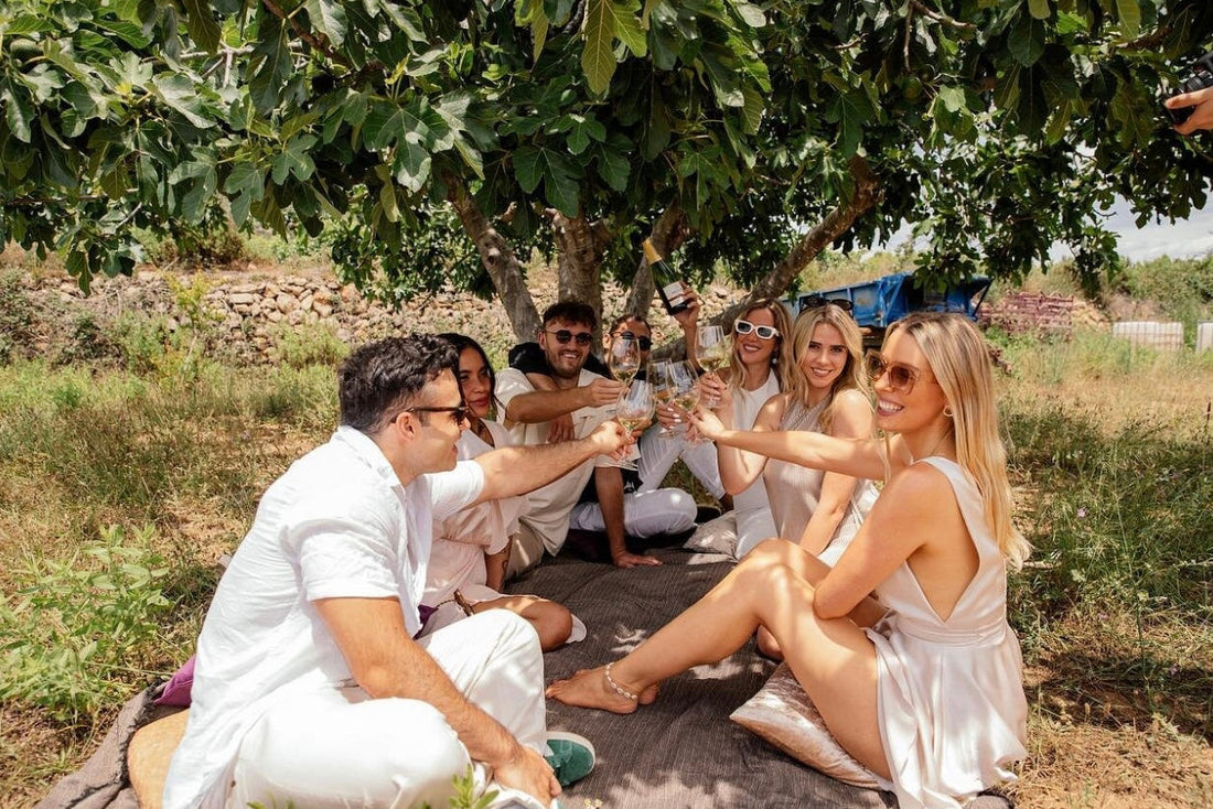 6 Reasons Why a Wine Tour in Barcelona Is the Perfect Day Out