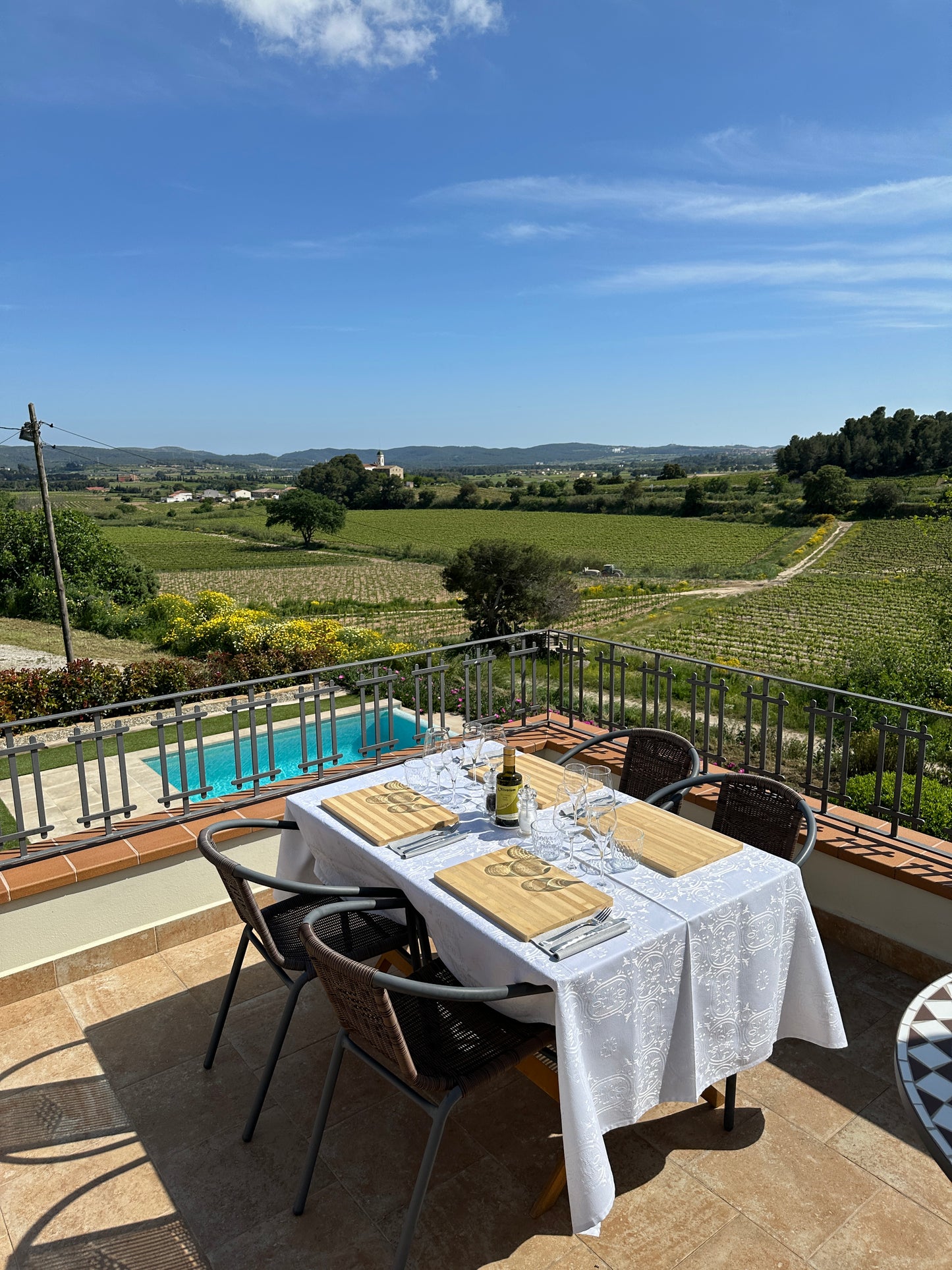 Luxurious Organic Wine Tasting with Snacks or Brunch