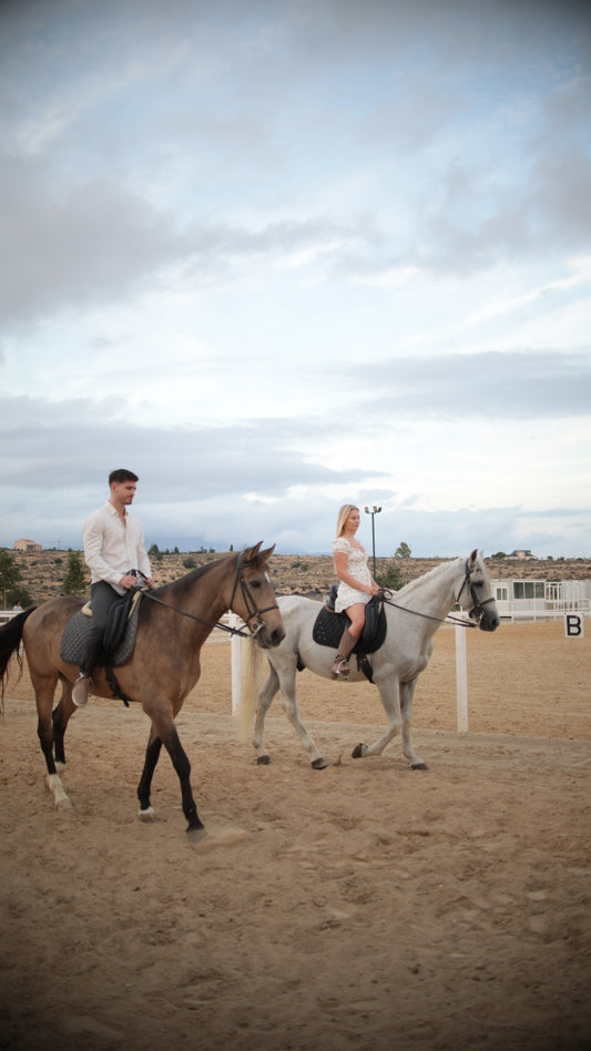 DÌA Cata de Vinos (2 Bodegas) + Tapas