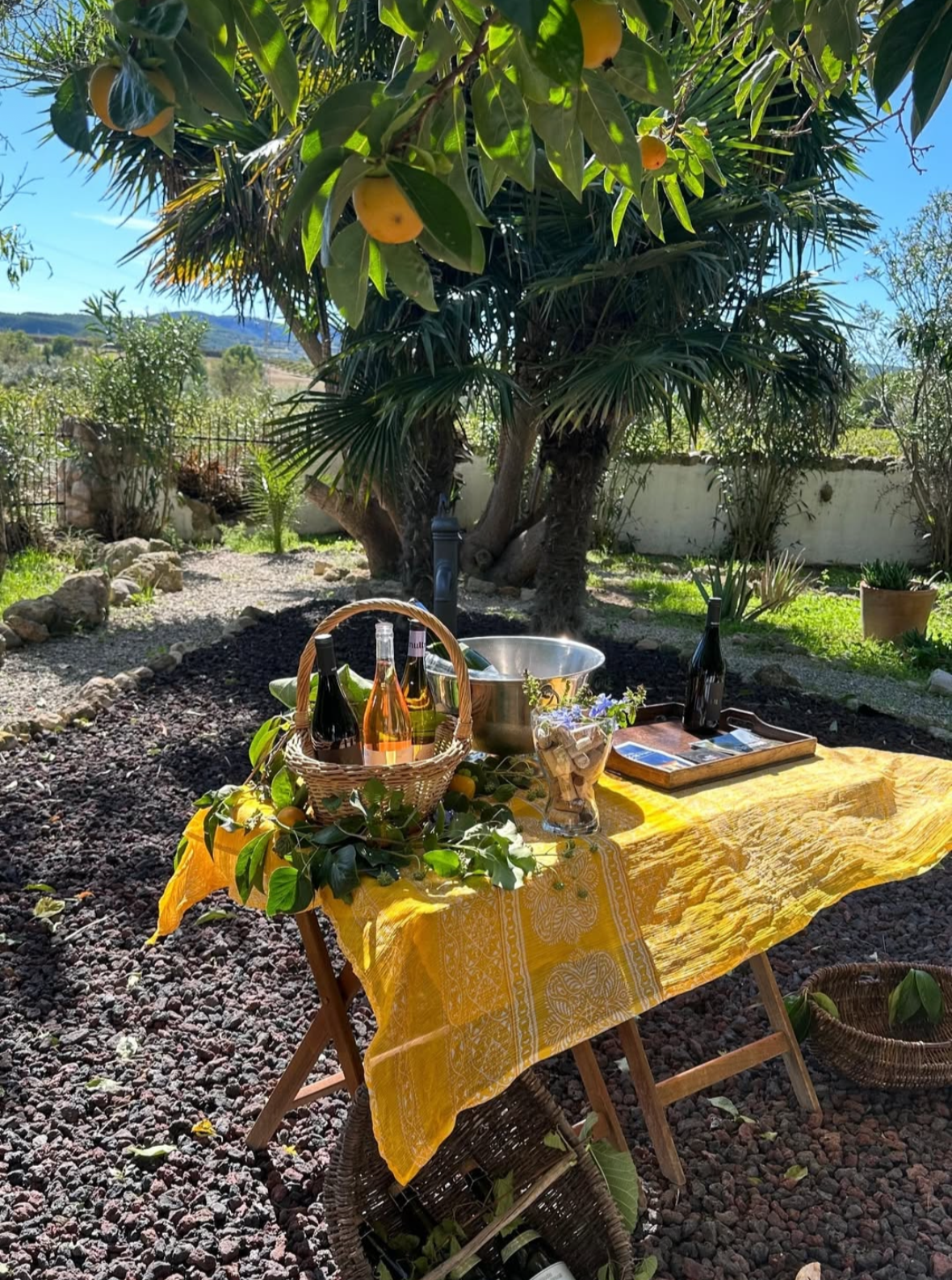 Wine Tasting underneath a Lemon Tree