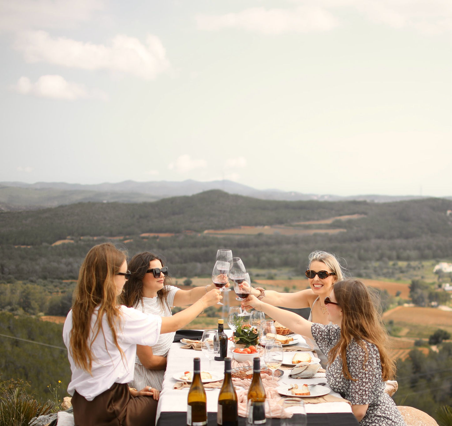 Wine Tasting with Mountain Views & Tapas