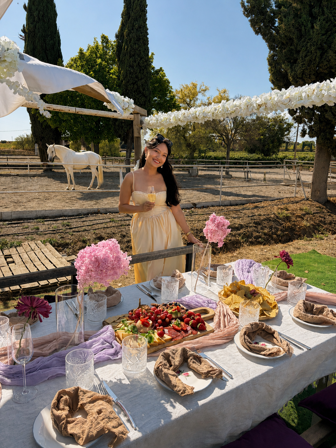 Birthday Experience: Lunch with Horses