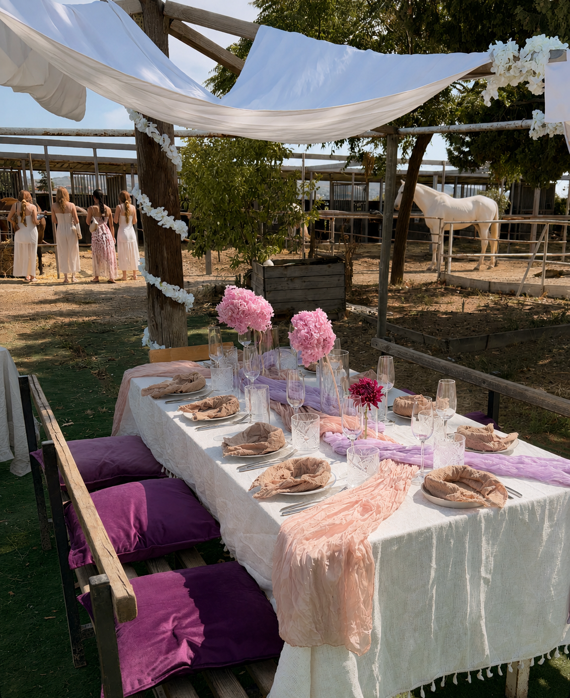 Birthday Experience: Lunch with Horses