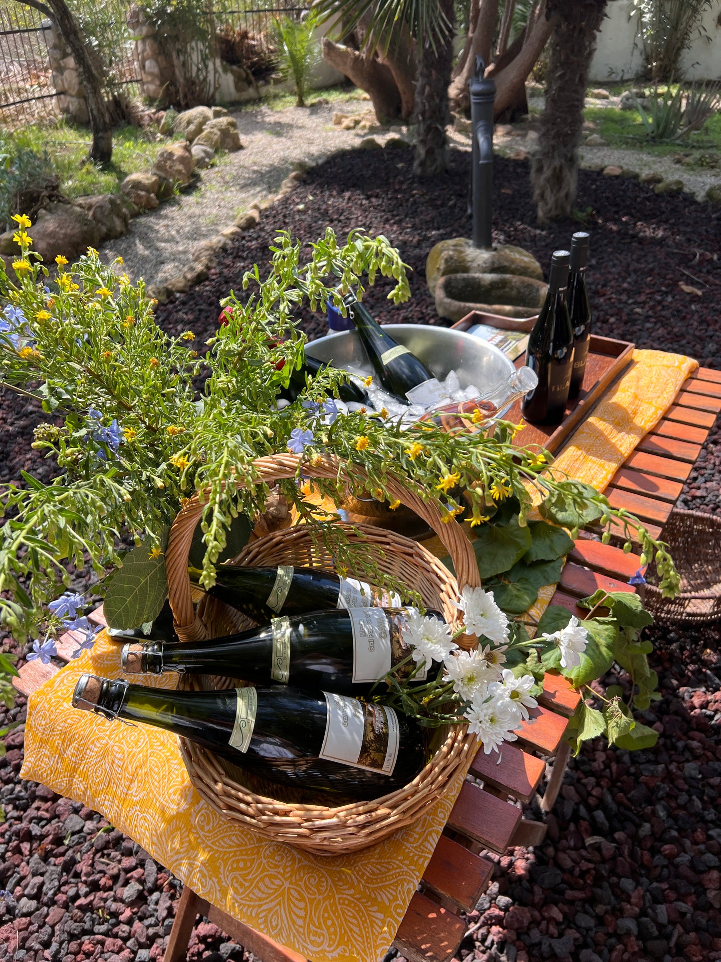 Wine Tasting underneath a Lemon Tree