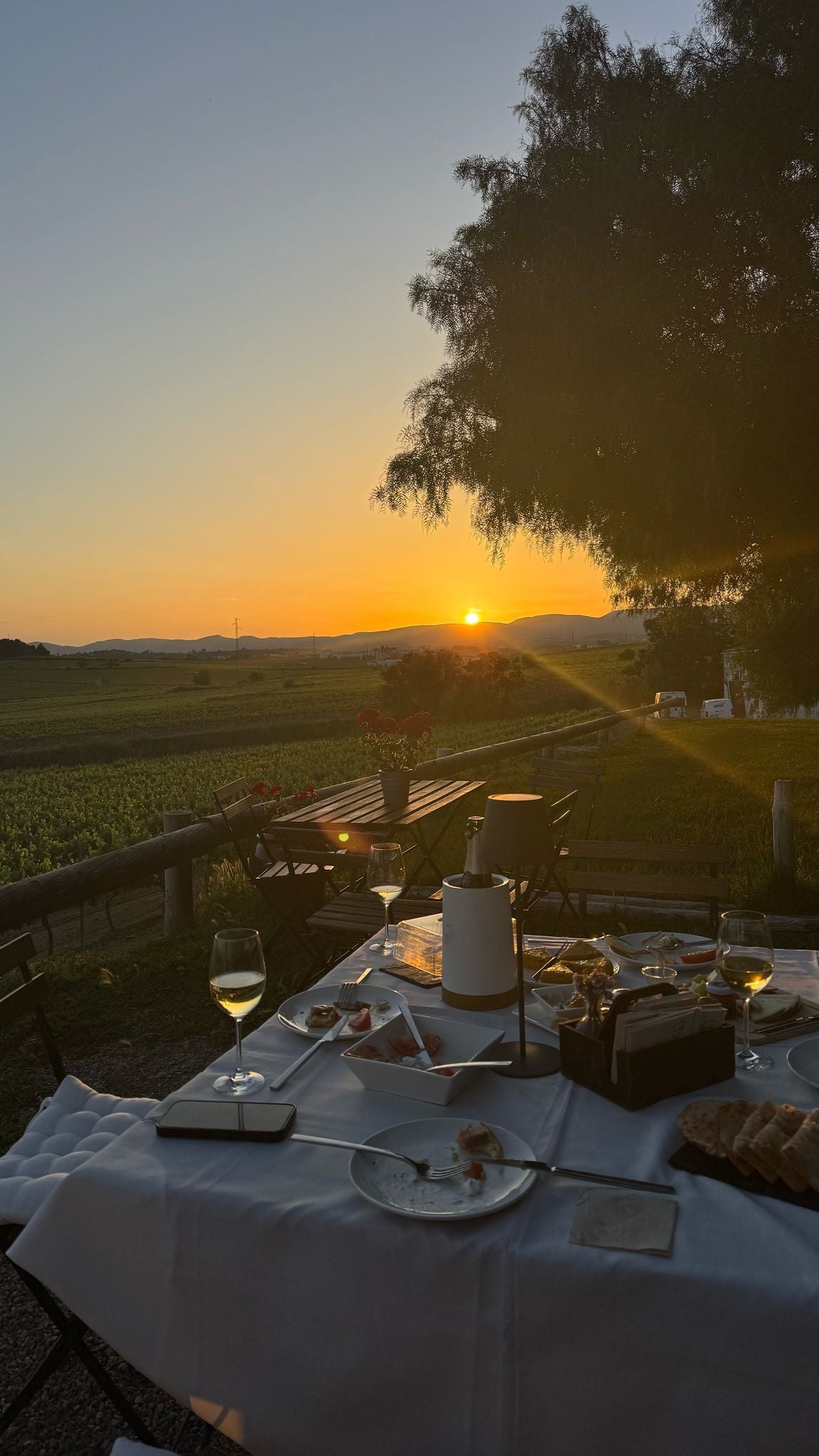 Sunset Dinner with Wine Tasting in a Winery