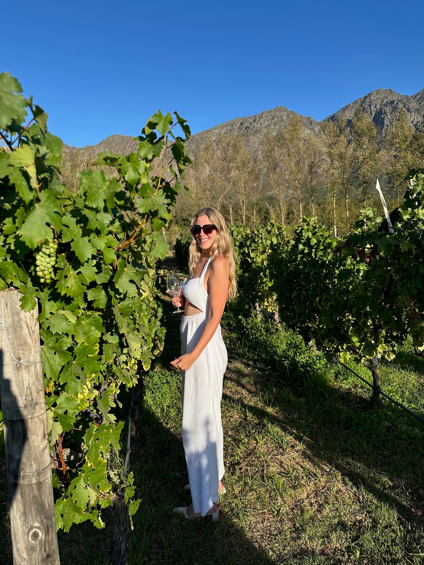 From Cape Town: Private Luxury Wine Tour with Two Tastings
