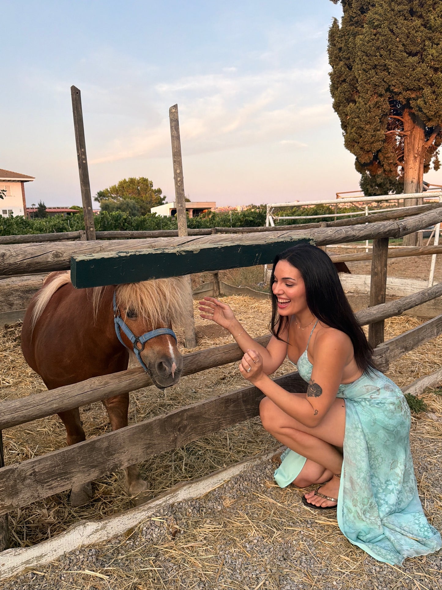 Group Countryside Experience: Brunch & Horseback Riding (beginner-friendly) + Transport