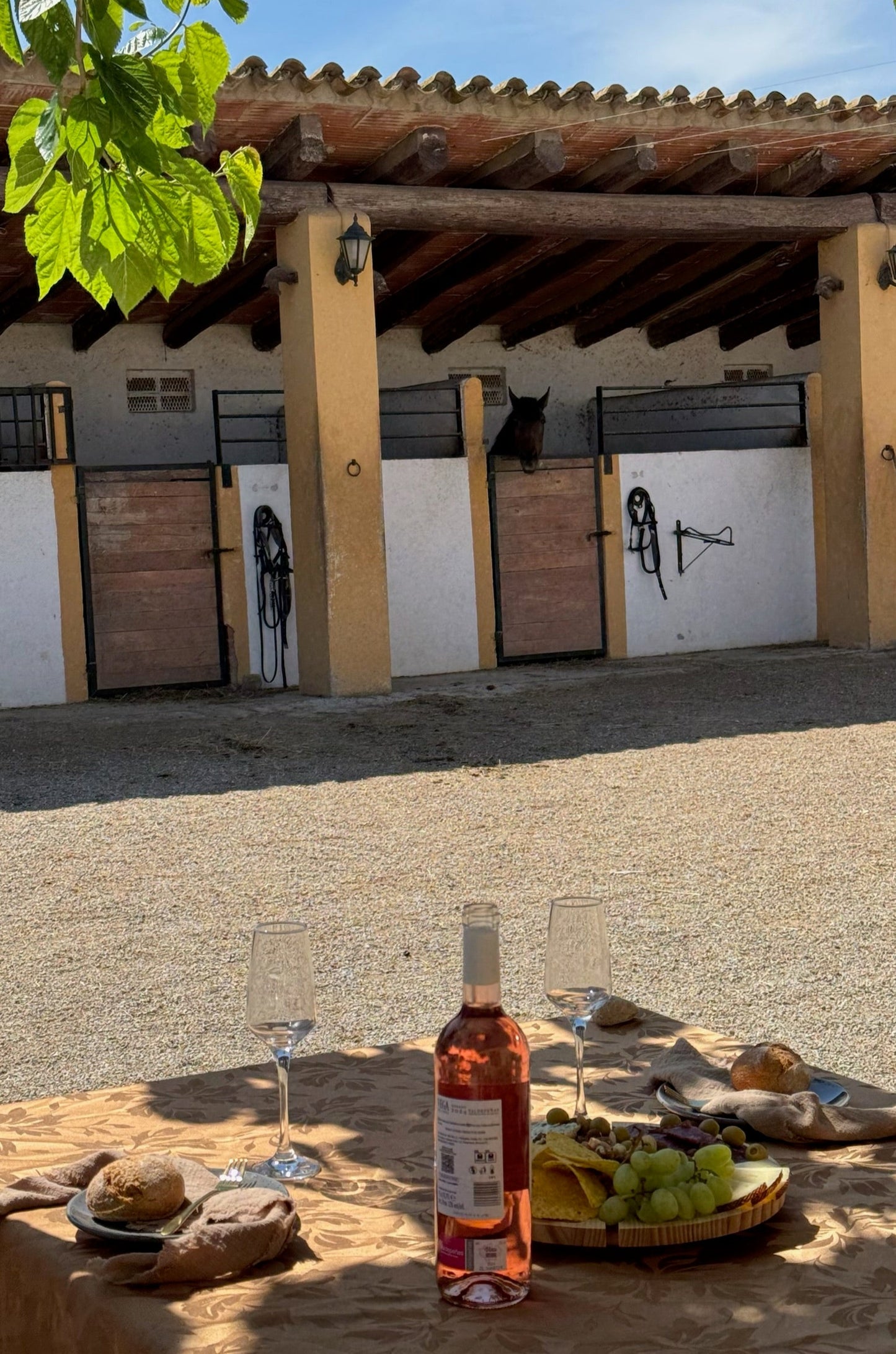 From Barcelona: Horseback Ride Tour with Picnic - 24th May 2025