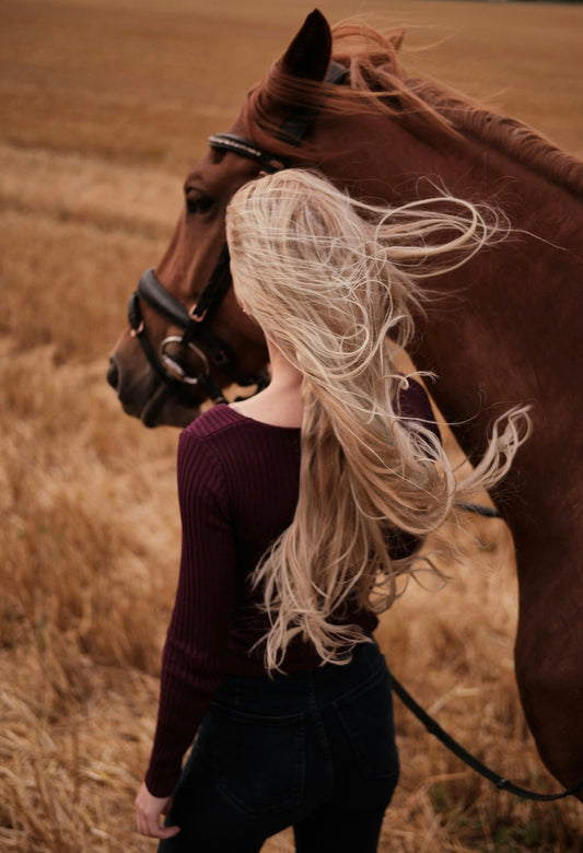 Cape Town: Private Horseback Ride + Hotel Pick-Up