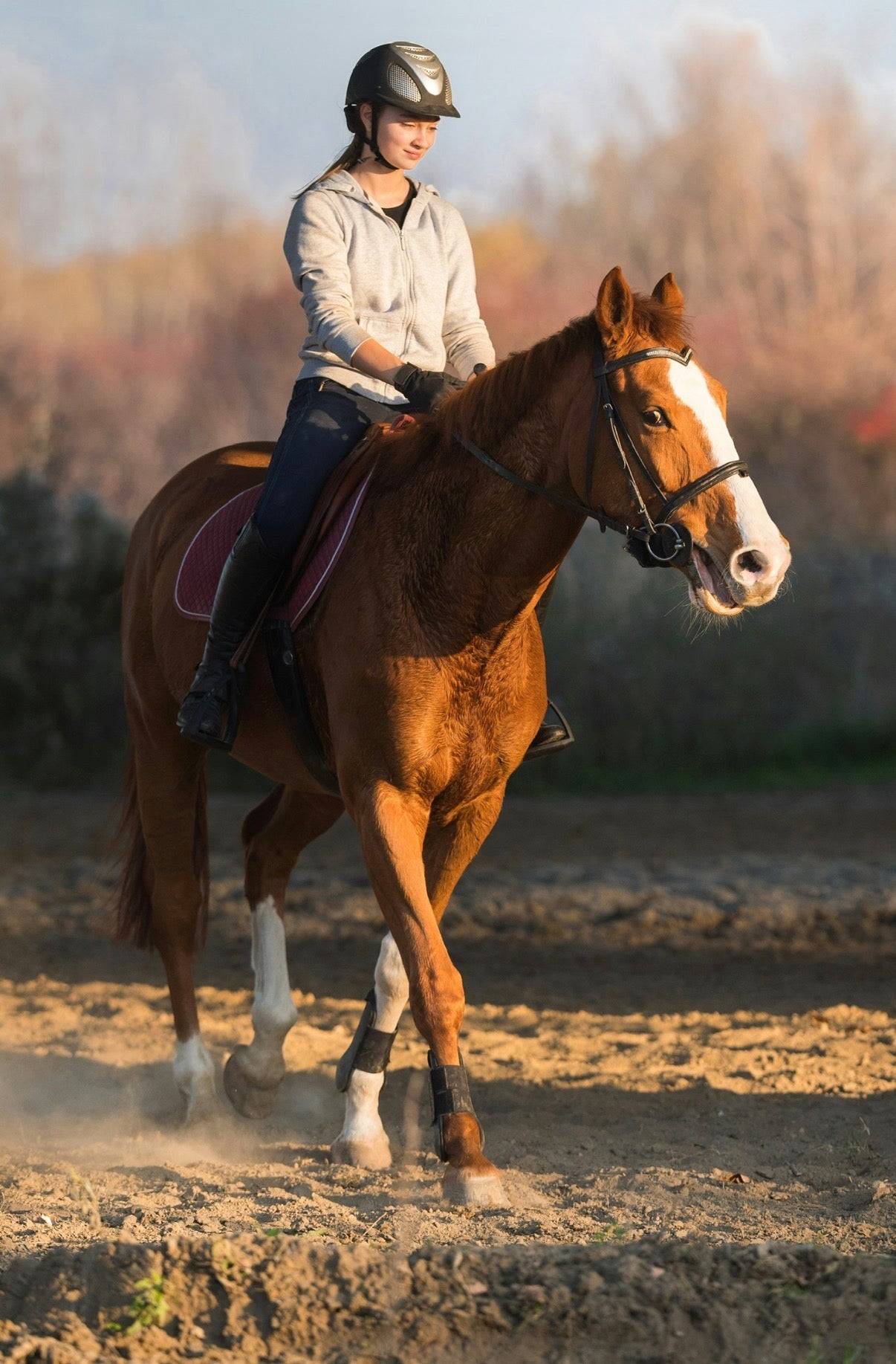 Desde Ciudad del Cabo: tour privado de vinos de lujo con dos catas