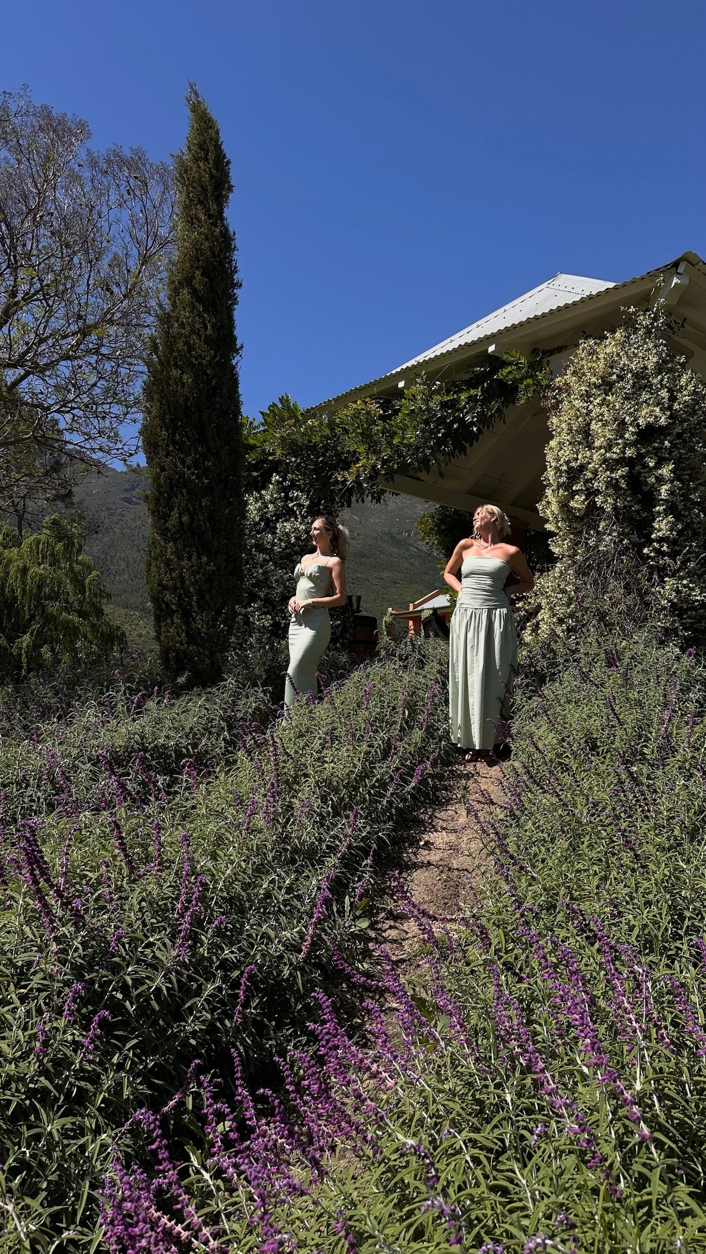 Desde Ciudad del Cabo: Paseo privado a caballo por un viñedo con picnic de vino
