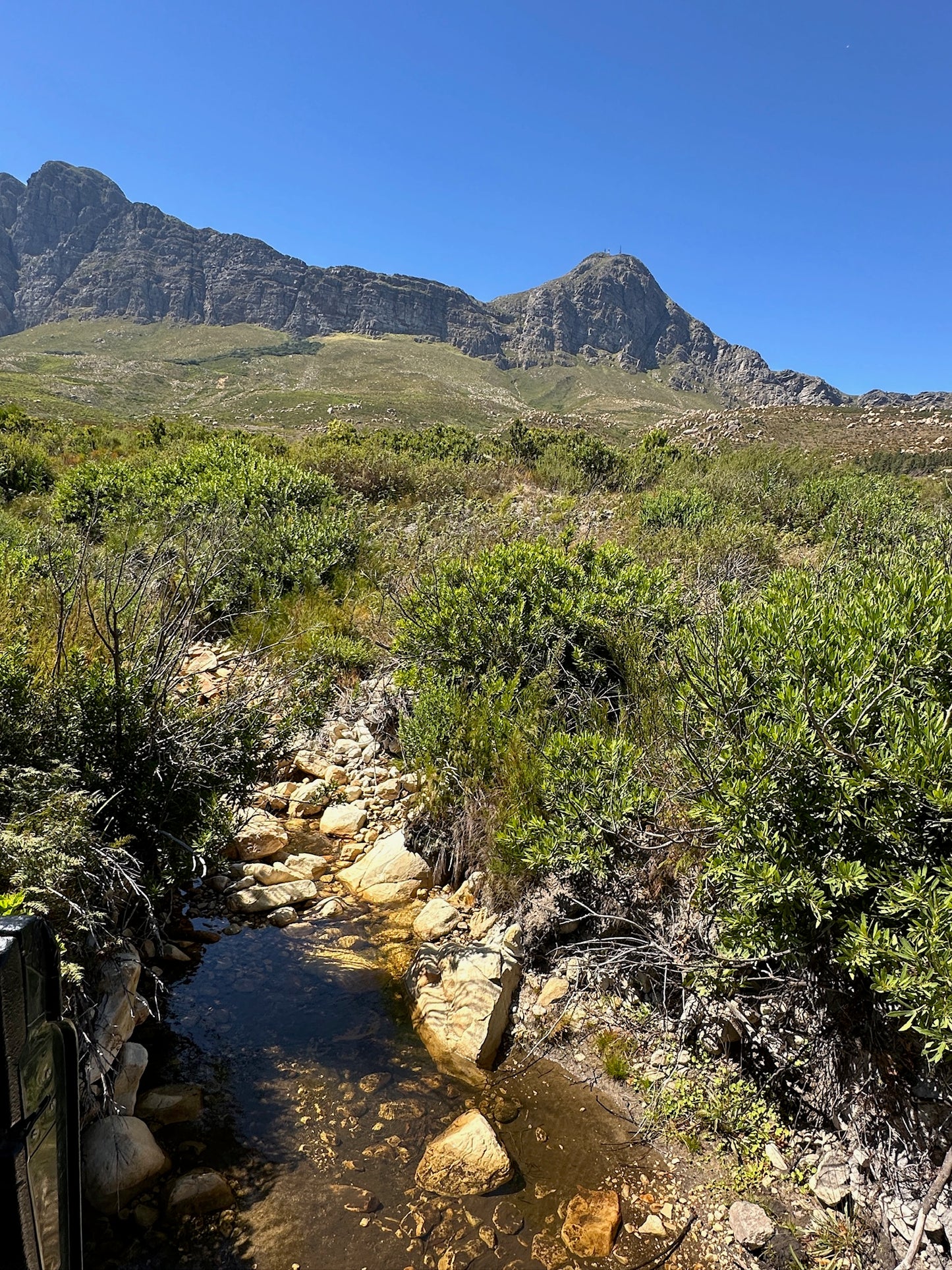 Desde Ciudad del Cabo: Paseo privado a caballo por un viñedo con picnic de vino