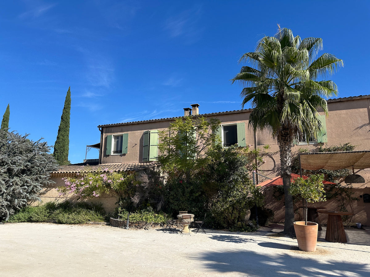 Saint-Tropez: 4x4 Vineyard Tour, 7 Wine Tasting + Private Transport & Hotel Pick-up