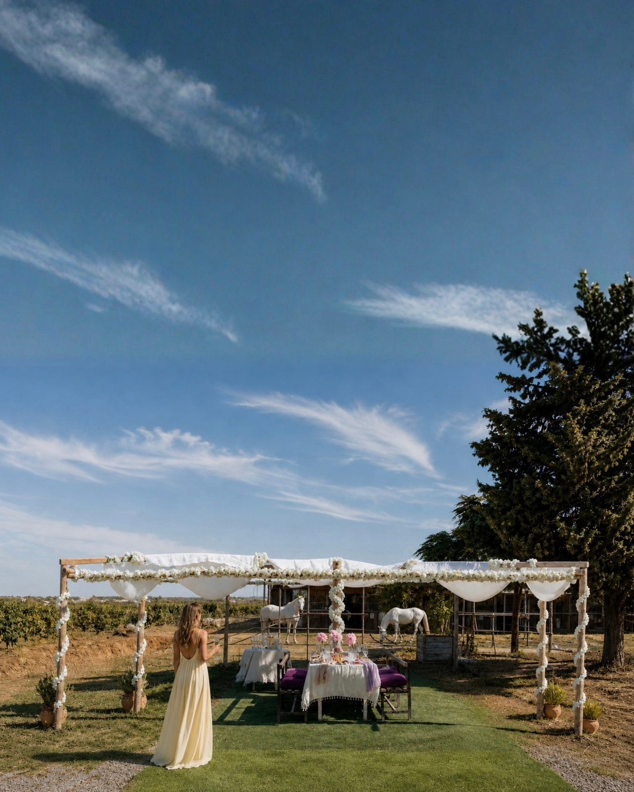 Birthday Experience: Lunch with Horses