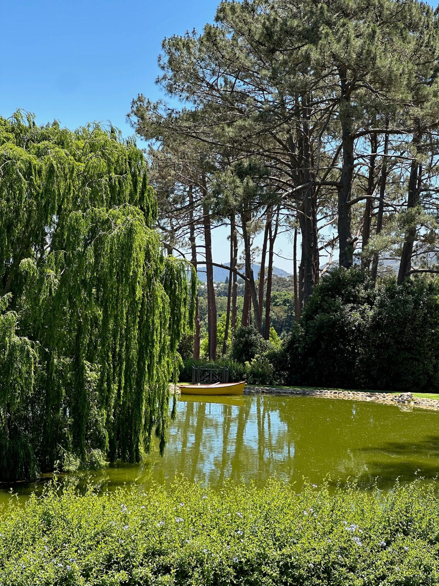 Cape Town: Private Wine Tour - Visit 2 Wineries