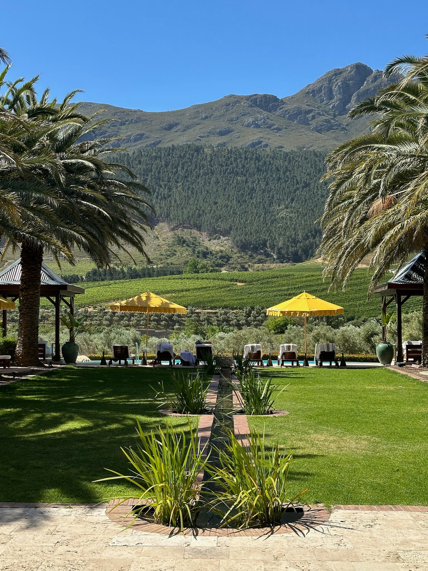 Cape Town: Private Wine Tour with Lunch - Visit 3 Wineries + Hotel Pick-up