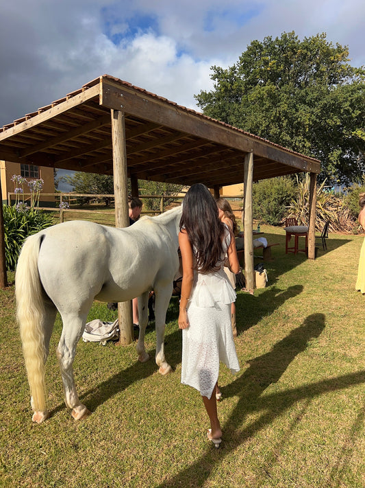Cape Town: Private Horseback Ride + Brunch
