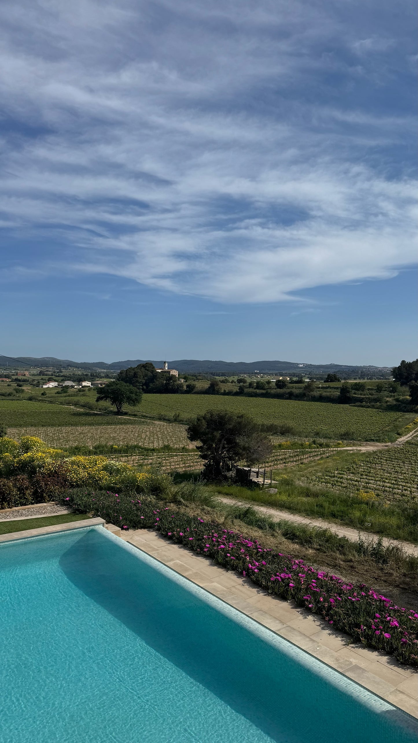Group Experience: Luxurious Organic Wine Tour with Tapas Brunch + Transport