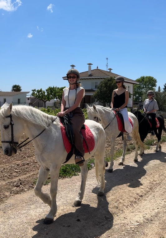From Barcelona: Horseback Ride Tour with Picnic - 24th May 2025