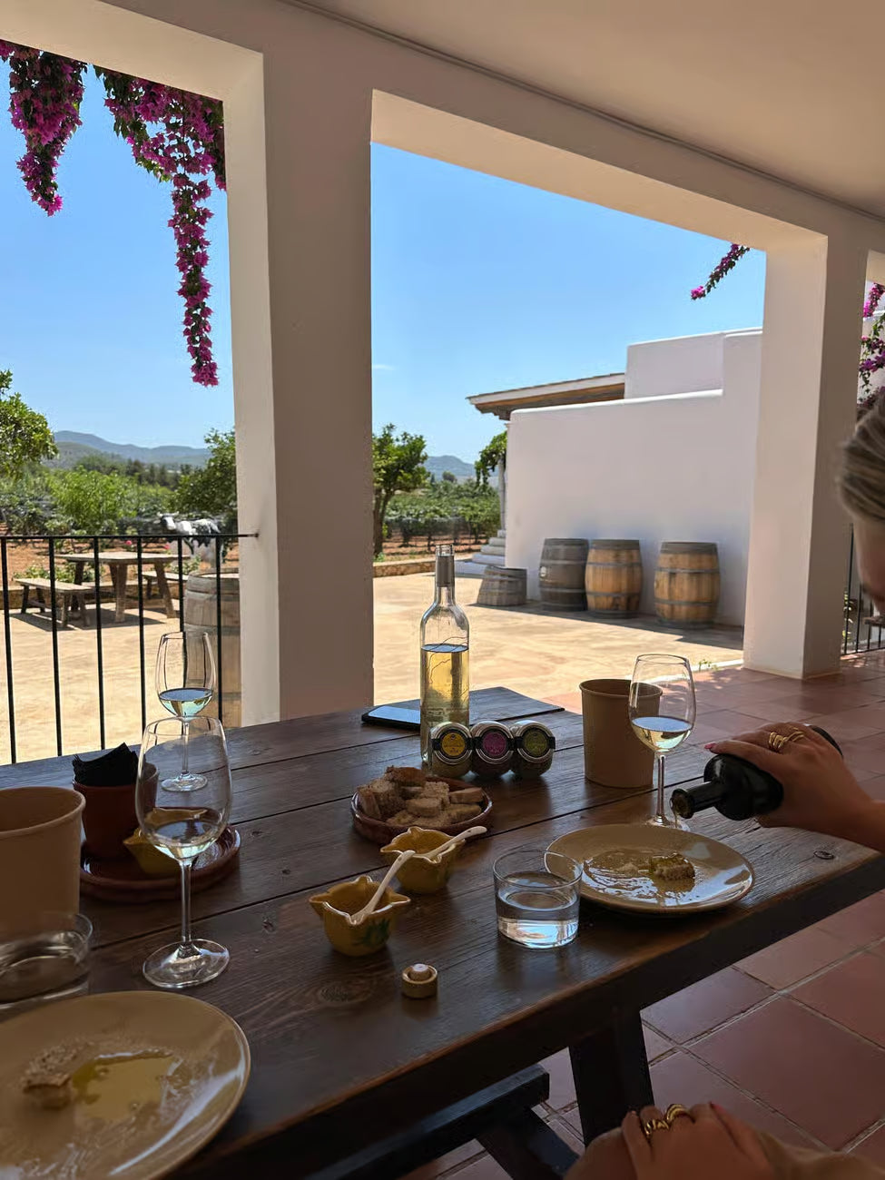 Ibiza: Beautiful Wine Tour with Tapas + Transport
