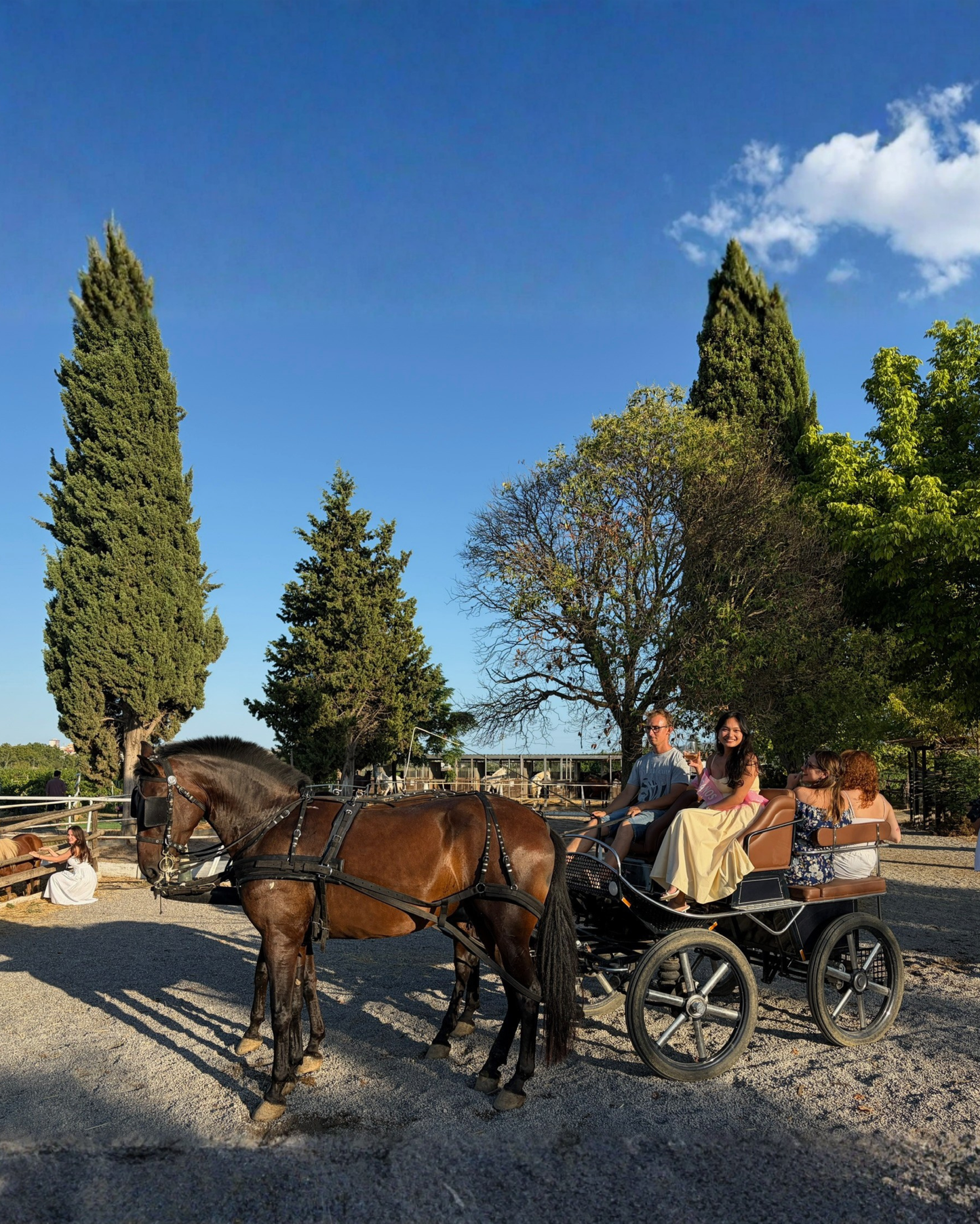 Birthday Experience: Lunch with Horses