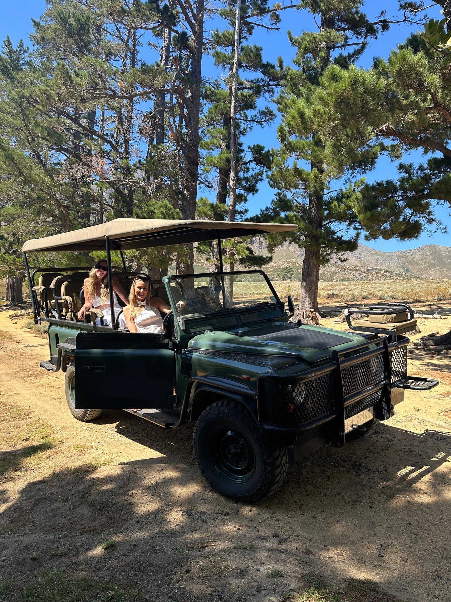 Desde Ciudad del Cabo: Paseo privado a caballo por un viñedo con picnic de vino