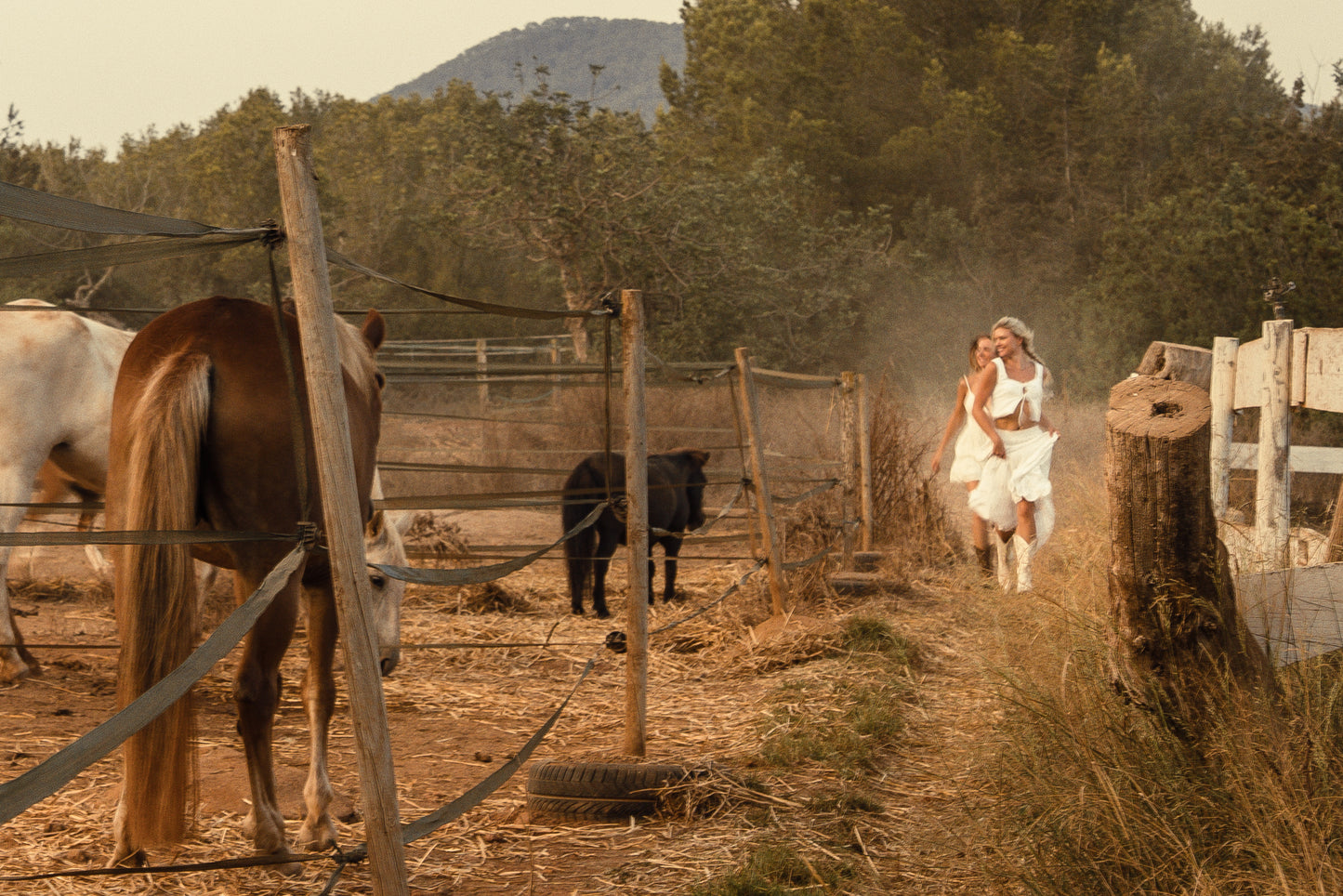 Ibiza Photo Shoot with Horses