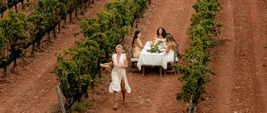 Ibiza: Cata de vinos en viñedos con vistas al mar