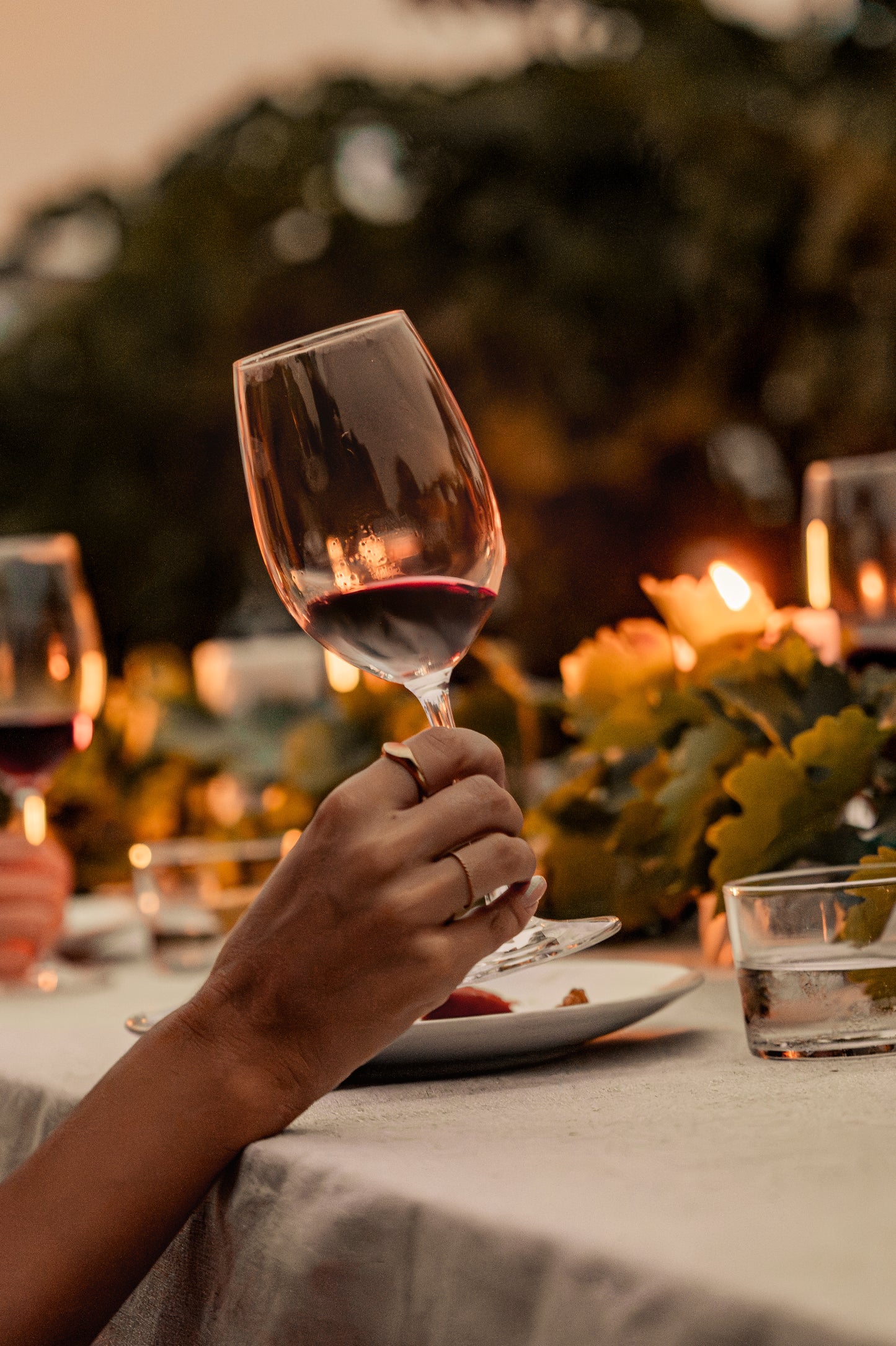 Ibiza: Cata de vinos en viñedos con vistas al mar