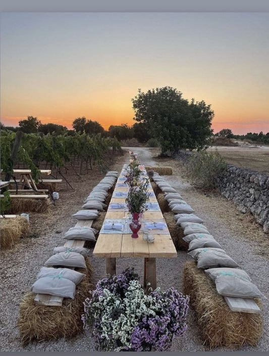 Corporate Event: Dinner between the vineyards