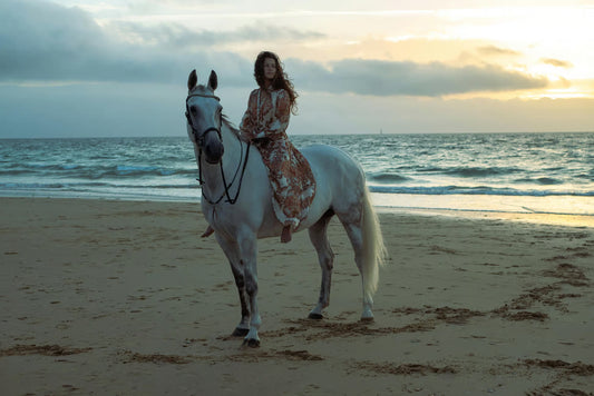 Cape Town: Private Beach Horseback Ride + Hotel Pick-Up