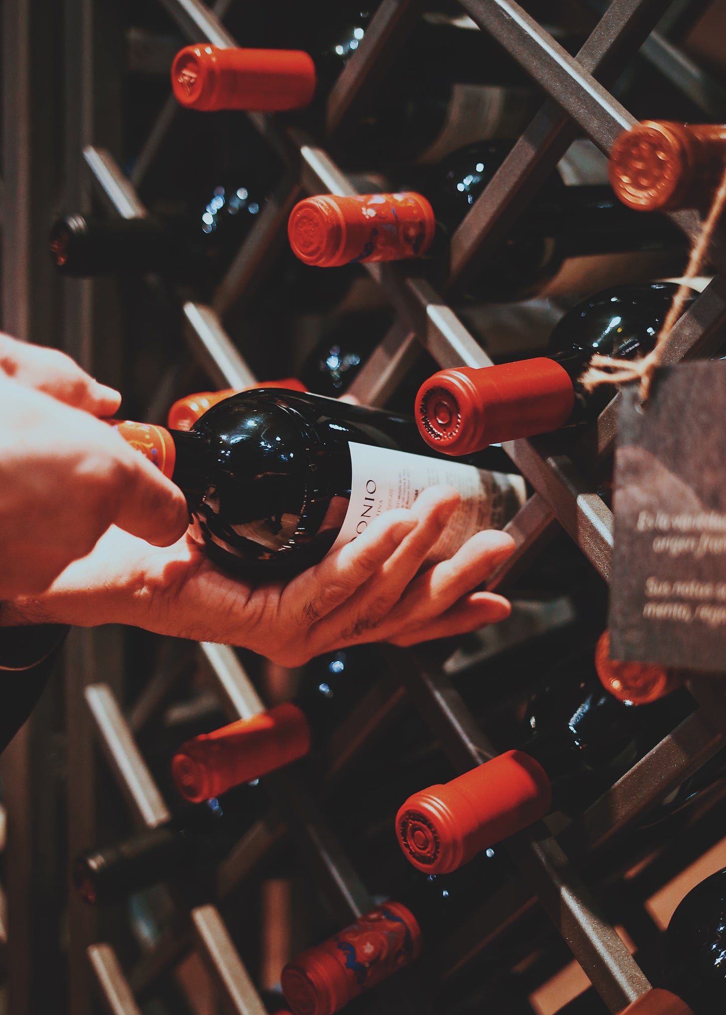 Corporate Event: Barcelona Wine Tasting