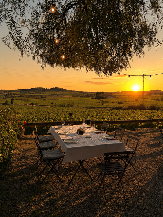 Group Experience: Sunset Dinner with Wine Tasting + Transport