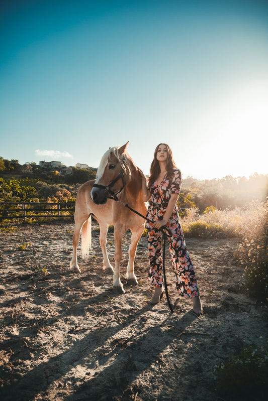 Ibiza: Horseback Ride with Wine Tasting + Tapas