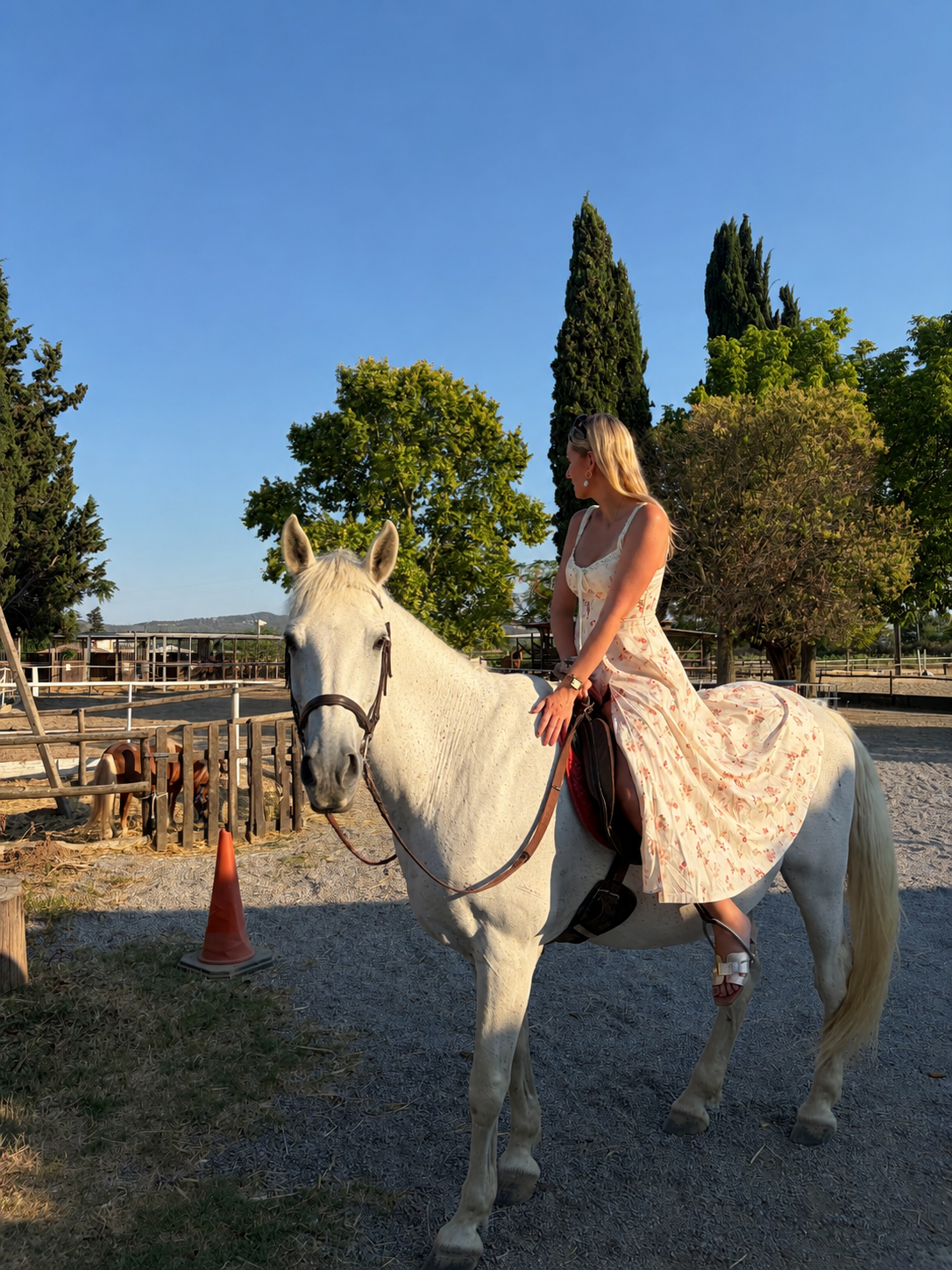 Group Countryside Experience: Brunch & Horseback Riding (beginner-friendly) + Transport
