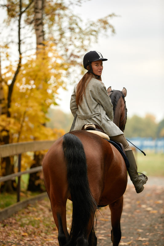 From Cape Town: Private Vineyard Horseback Riding with Wine Picnic