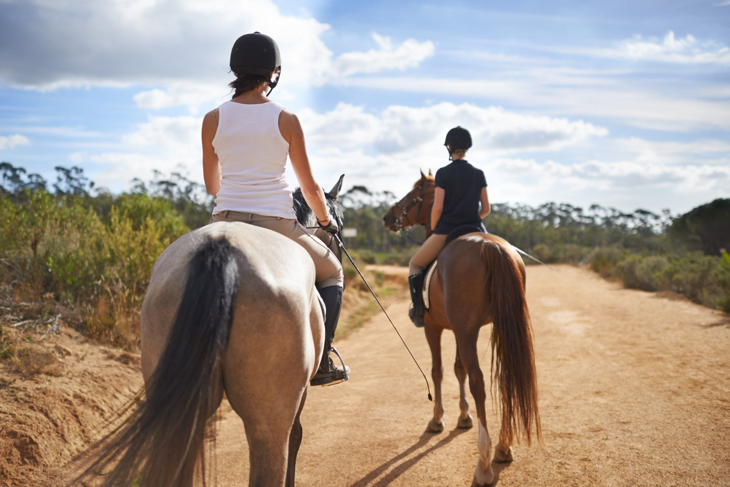 Horseback Ride Experience
